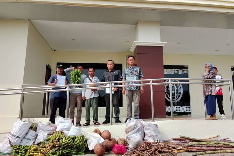 Denda 3 Petani Mukomuko Naik dari Rp 1,3 Miliar Jadi Rp 3 Miliar, Ini Perjalanan Kasusnya