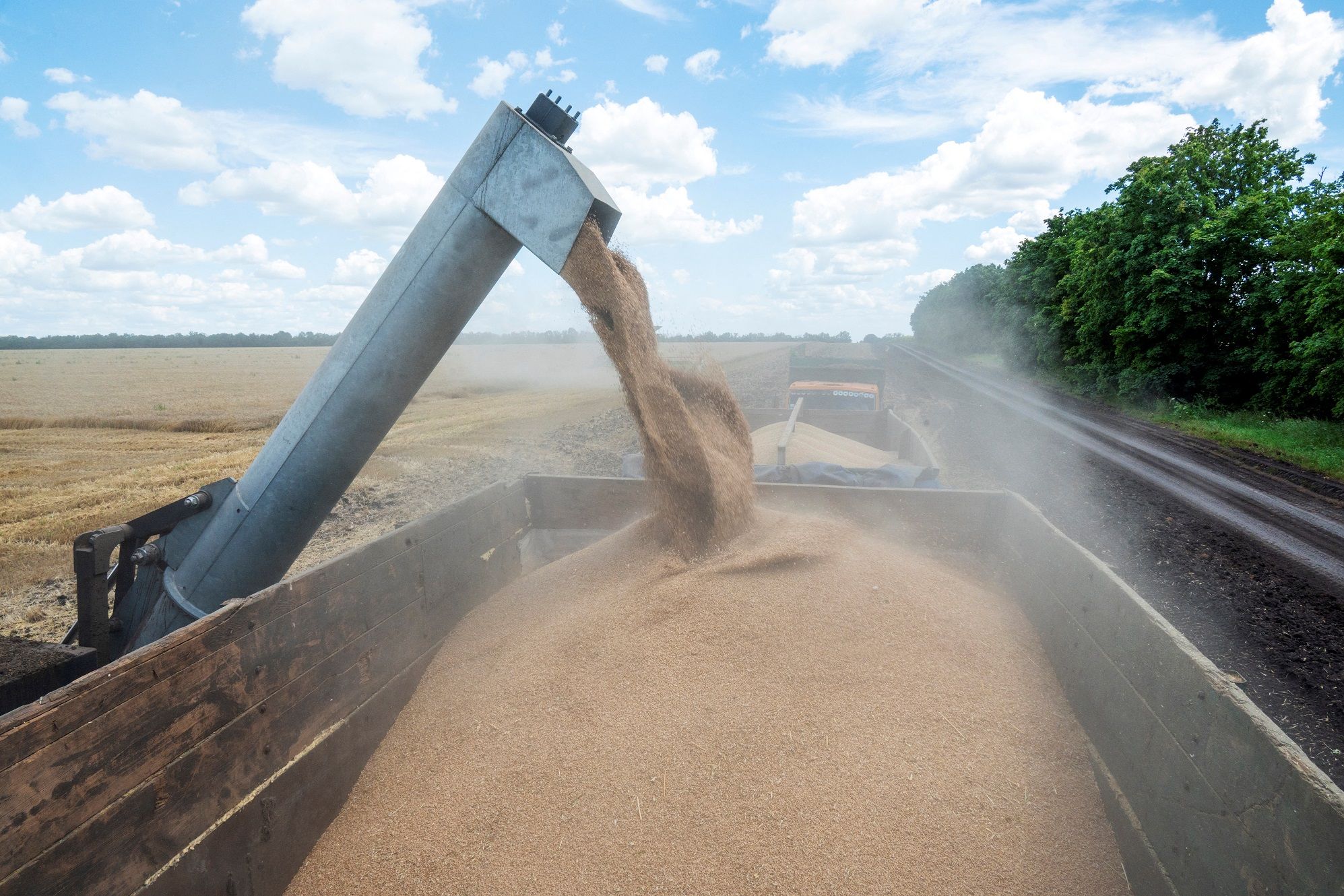 Uni Eropa Perbarui Penangguhan Bea Masuk dan Kuota Ekspor Pertanian Ukraina