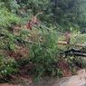 Jalan Tertutup Longsor, Sudah 2 Hari Akses ke Sekolah dan Puskesmas di Manggarai Timur Lumpuh Total