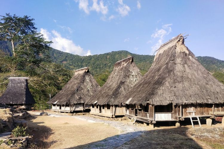 Kampung tradisional Wologai, Kabupaten Ende, NTT, Minggu lalu Oktober 2023. (KOMPAS.com/MARKUS.MAKUR