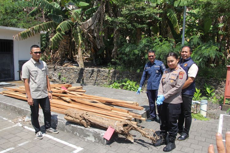 Tebang Pohon di Hutan Lindung Jembrana Bali, 2 Orang Jadi Tersangka