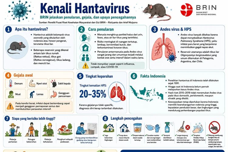 Penularan Hantavirus Bisa Dicegah dengan Jaga Kebersihan, Ini Penjelasan Peneliti BRIN