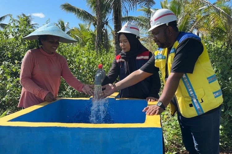 Dulu, Petani Perbatasan RI-Australia Panen Sekali Setahun, Kini 3 Kali