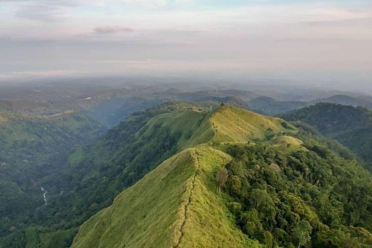 Penampakan kawasan Taman Hutan Raya (Tahura) Raden Soerjo. Tahura Raden Soerjo membuka jalur pendakian Bukit Cendono mulai Sabtu (29/7/2023).