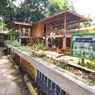Bocoran Proyek Baru di IKN, Ada Taman Safari 