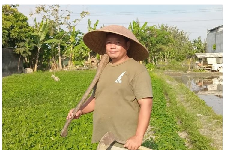 Saryanto, ASN UGM yang jadi petani setiap Sabtu dan Minggu