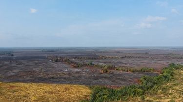 96 Titik Panas Terdeteksi di Way Kambas, Karhutla Beresiko Hancurkan Biodiversitas