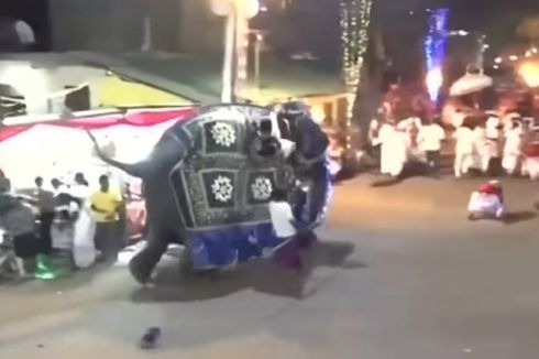 2 Ekor Gajah Lepas Kendali di Festival Keagamaan di Sri Lanka, 17 Orang Luka-luka