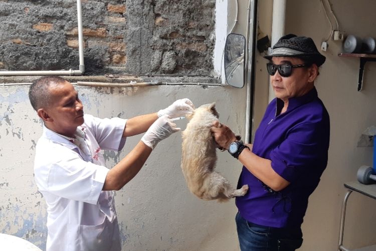 Seekor anjing peliharaan milik warga di beri vaksin agar tidak terkena rabies. Pemberian vaksin berlangsung di kelurahan Duri Kosambi, Cengkareng, Jakarta Barat, Kamis (3/10/2019)