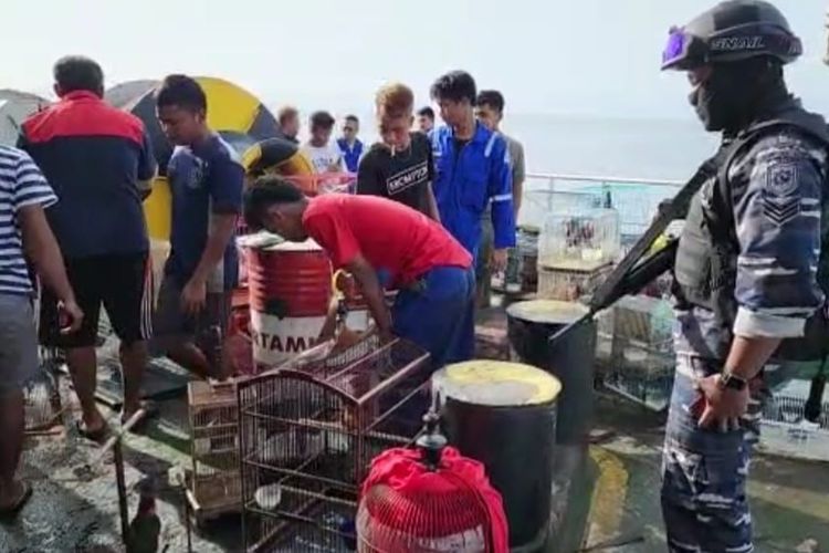 Prajurit TNI Angkatan Laut (AL) menggagalkan pengiriman puluhan satwa yang dilindungi di Perairan Kumai, Kotawaringin Barat, Kalimantan Tengah, Sabtu (22/10/2022).