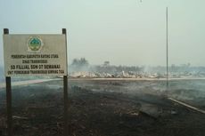 Rembetan Api Karhutla Hanguskan Bangunan Sekolah di Kayong Utara