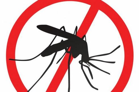 WHO Targetkan Eradikasi Kasus Malaria Tahun 2030