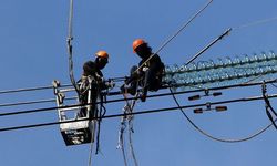 Elektrifikasi jadi Kunci Peningkatan Produktivitas dan Kualitas Pertanian