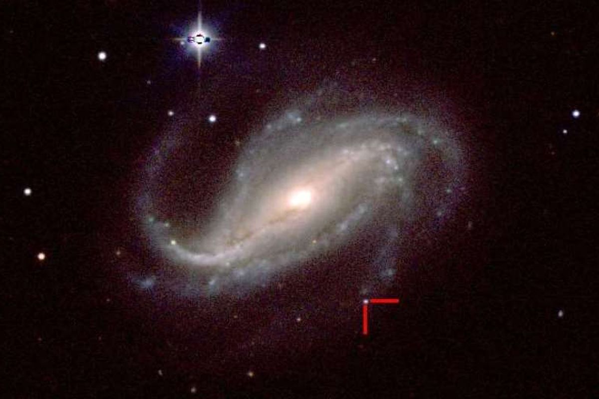 Gambar supernova SN-2016gkg di NGC-613 ini diambil oleh sekelompok astronom UC Santa Cruz pada 18 Februari 2017, dengan teleskop Swope 1 meter. 