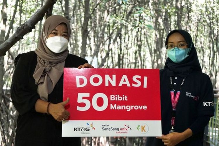 KT&G dan Sangsang Univ Indonesia menjalankan program penanaman pohon bakau secara sukarela di sebuah kawasan ekowisata di Jakarta Utara (12/8/2022)