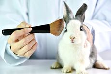 Bedakan, Cruelty Free dan Vegan pada Produk Kosmetik