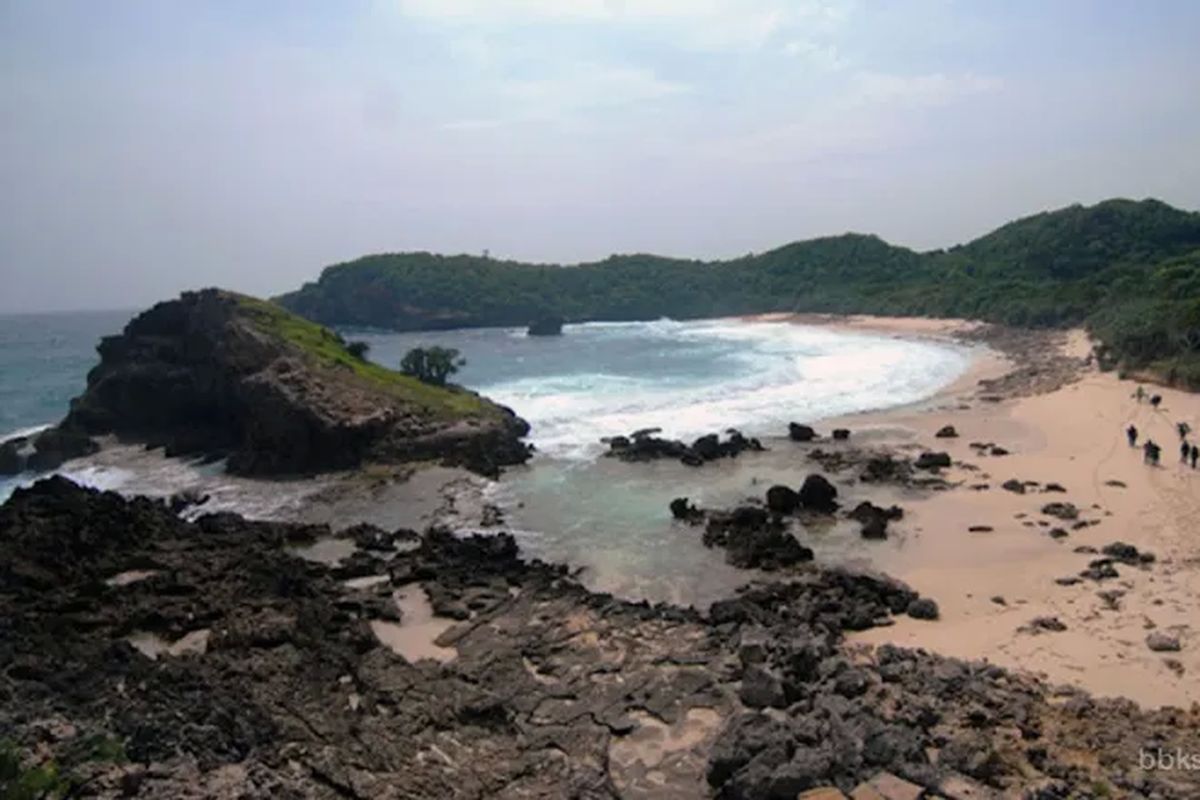 Potret Suaka Margasatwa Pulau Nusa Barung di Jember, Jawa Timur.