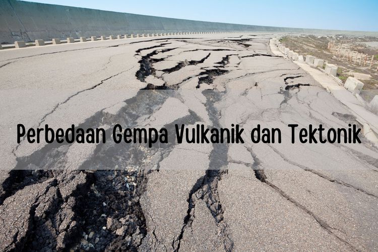 Salah satu perbedaan gempa vulkanik dan tektonik adalah sumber gempanya.