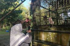 Penutupan Ditunda karena Diprediksi Ramai saat Lebaran, Nyatanya Pengunjung Medan Zoo Sedikit