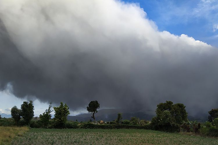 Gunung Sinabung menyemburkan material vulkanik saat erupsi di Karo, Sumatera Utara, Sabtu (8/8/2020). Gunung Sinabung erupsi dengan tinggi kolom 2.000 meter, empat kecamatan terkena dampak hujan abu.