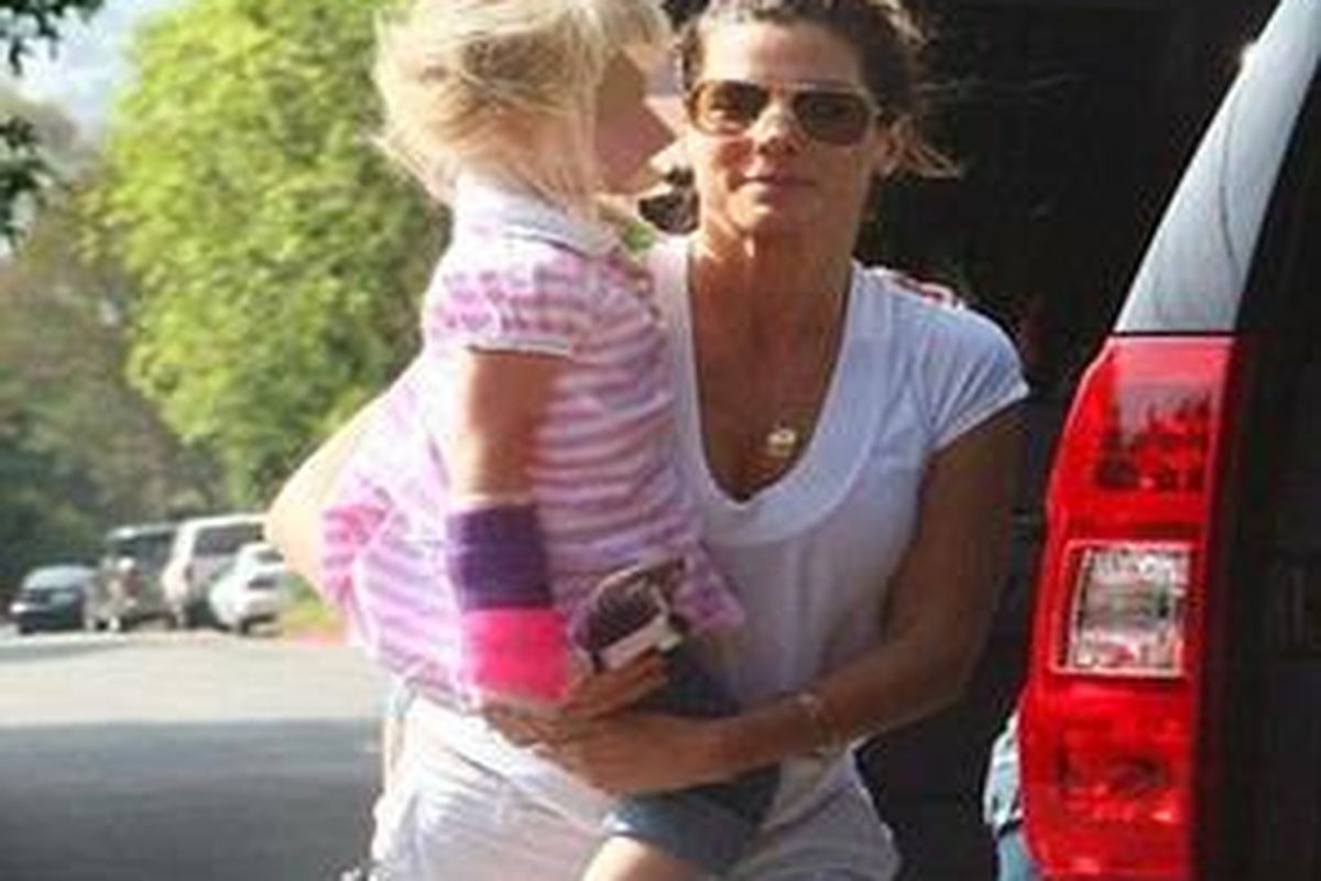 Sandra Bullock is fighting porn star Janine Lindemulder for custody of her stepdaughter Sunny, whose father, Jesse James, is now married to Sandra   