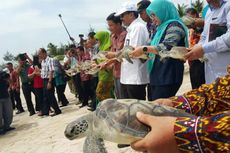 Jejak Pelayaran Laksamana Cheng Ho Diluncurkan di Pantai Tong Aci