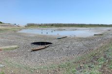 Kekeringan Parah, 3 Waduk di Madiun Berhenti Aliri Sawah Petani