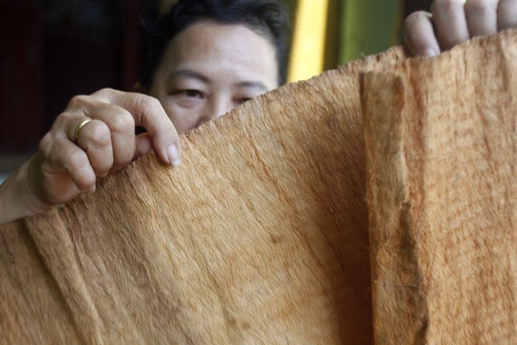 Perajin mengecek bahan baku kulit kayu pohon terap (Artocarpus odoratissimus) di Tarakan, Kalimantan Utara.