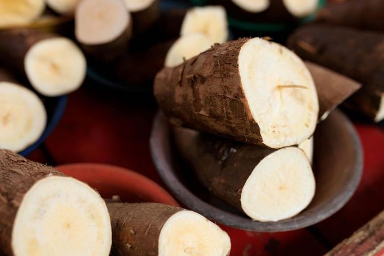 Singkong roti atau singkong ketan adalah jenis singkong yang cocok untuk membuat singkong goreng.
