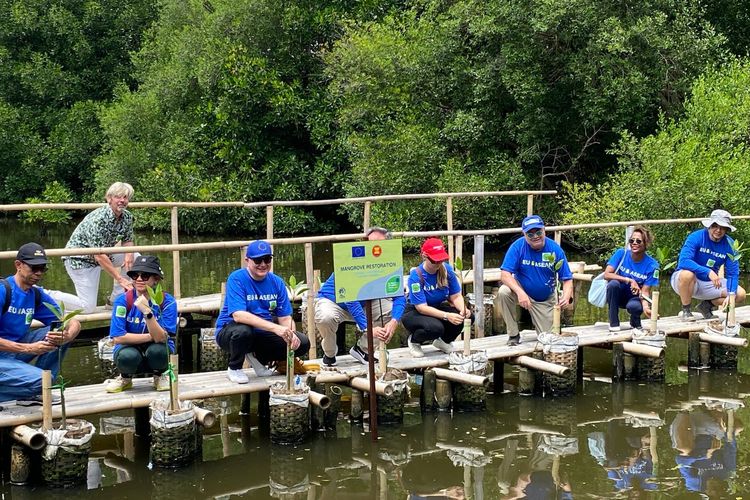 Langit Biru Pertiwi bersama delegasi dari Uni Eropa dan ASEAN menanam mangrove di TWA, Jakarta Utara, Kamis (13/11/2025). 