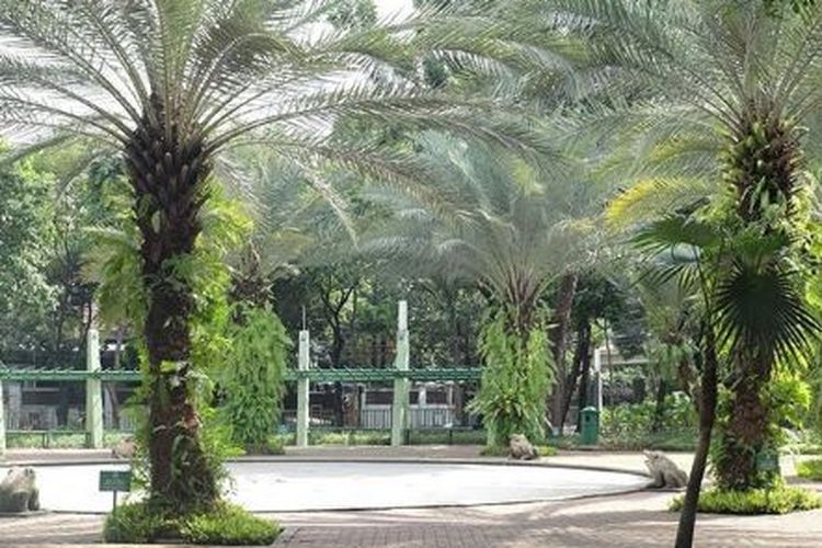 Mengenal Taman Kodok, Tempat Ma'ruf Amin Berolahraga Sebelum Pelantikan