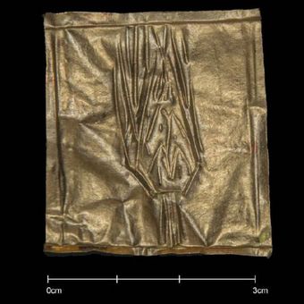Lempeng emas yang ditemukan dalam peti mati kuno dari zaman Firaun mungkin merupakan gambar daun kelapa atau jagung.