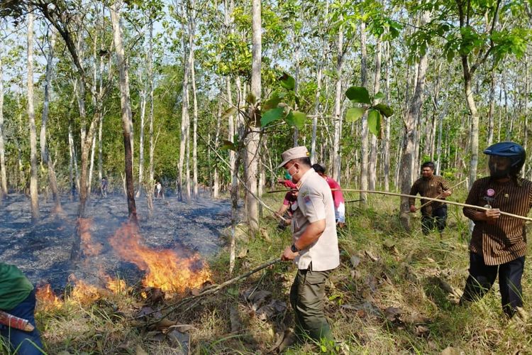 Kebakaran lahan jati dan bambu di Dusun Padawaras, Desa Kunci, Kecamatan Sidareja, Kabupaten Cilacap, Jawa Tengah, Kamis (12/10/2023).