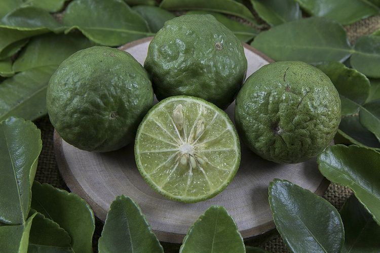 Ilustrasi jeruk purut.