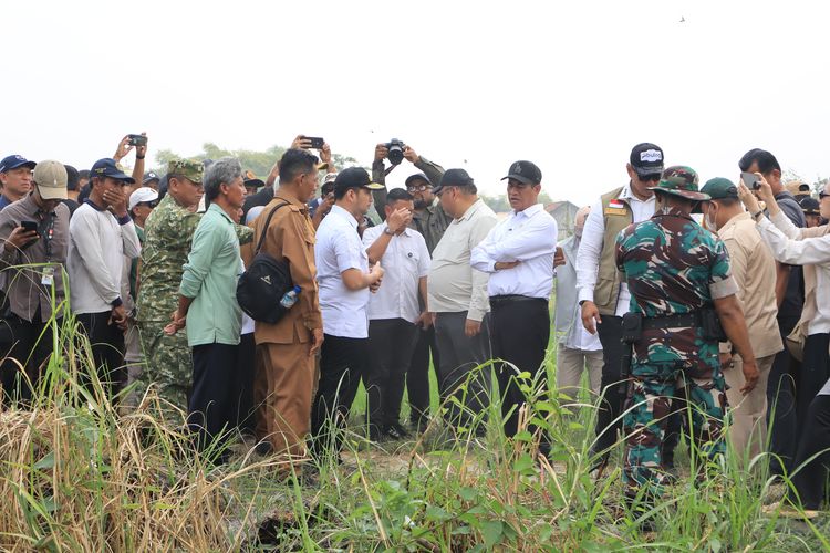 200 Hektare Sawah Gresik Terancam Kekeringan, Mentan Siapkan 2 Solusi