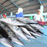 Jelang lebaran, KKP Sidak Kualitas dan Mutu Ikan di Pasar Tradisional
