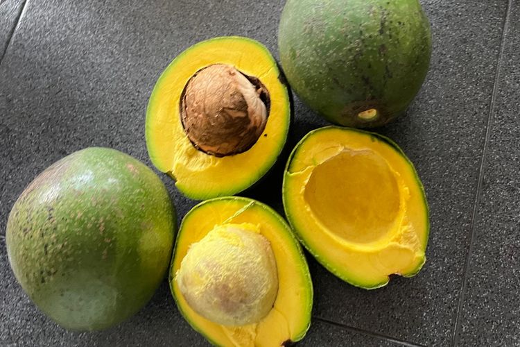 Uniknya, alpukat cipedak memiliki bentuk dan rasa yang mirip dengan alpukat mentega dengan daging buah yang tebal dan berwarna kuning layaknya mentega.