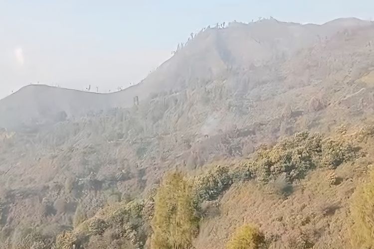 Kebakaran TNBTS Padam, BPBD Lumajang Pastikan Permukiman Warga Aman