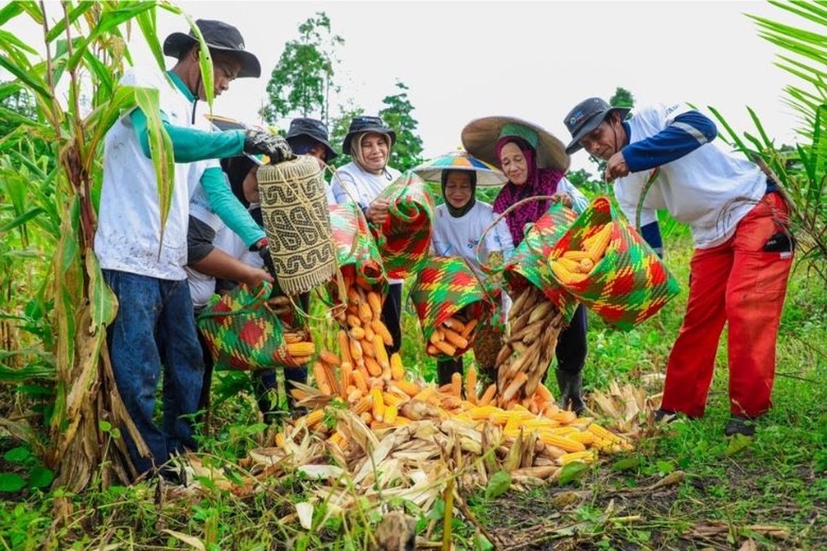 Program Grow & Green di Kampung Tanjung Prepat. 