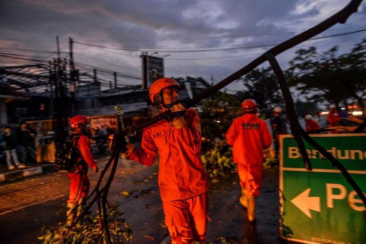 Petugas BPBD, Basarnas dan Dinas Pemadam Kebakaran mengevakuasi pohon tumbang pascaputing beliung di Jalan Nasional Bandung Garut di Rancaekek, Kabupaten Bandung, Jawa Barat, Rabu (21/2/2024).