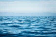 Ada KUHP Baru, Hukuman Pidana Kerja Sosial Berlaku Mulai Januari 2026