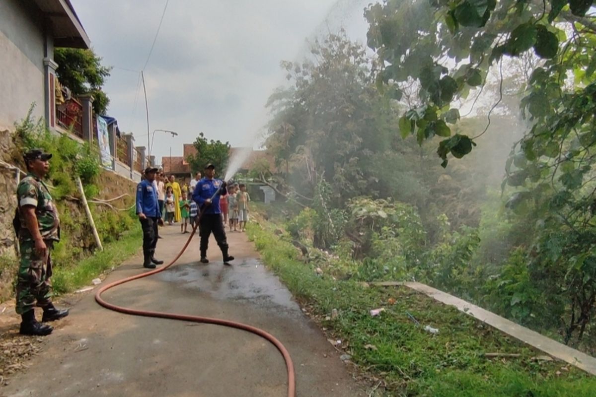 Petugas Dinas Pemadam Kebakaran Kabupaten Cirebon Jawa Barat melakukan penyemprotan cairan obat pembasmi ulat bulu, yang dicampurkan 4 kilogram deterjen ke sejumlah pohon jati yang menjadi sumber serangan ulat bulu, di Desa Sampiran Kecamatan Talun Kabupaten Cirebon, Senin (18/12/2023)