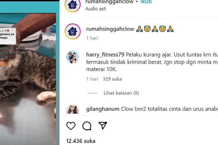 Shelter penampungan hewan Rumah Singgah Clow di Desa Waru, Kecamatan Parung, Kabupaten Bogor, Jawa Barat, dibakar Selasa (11/7/2023). Kejadian itu mengakibatkan empat kucing mati.