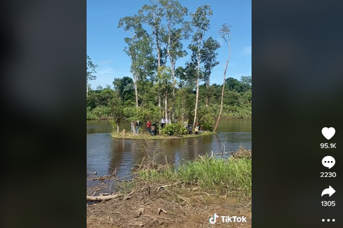 Viral, Video Pulau Kecil Bergerak Sendiri di Kapuas Hulu Kalbar, Ini Penjelasannya