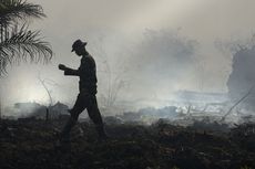 Kebakaran Lahan, Sekolah Ikut Terbakar