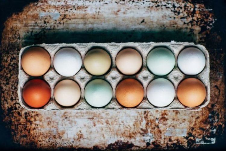 Cangkang telur ayam memiliki warna berbeda yang didapat dari gennya.