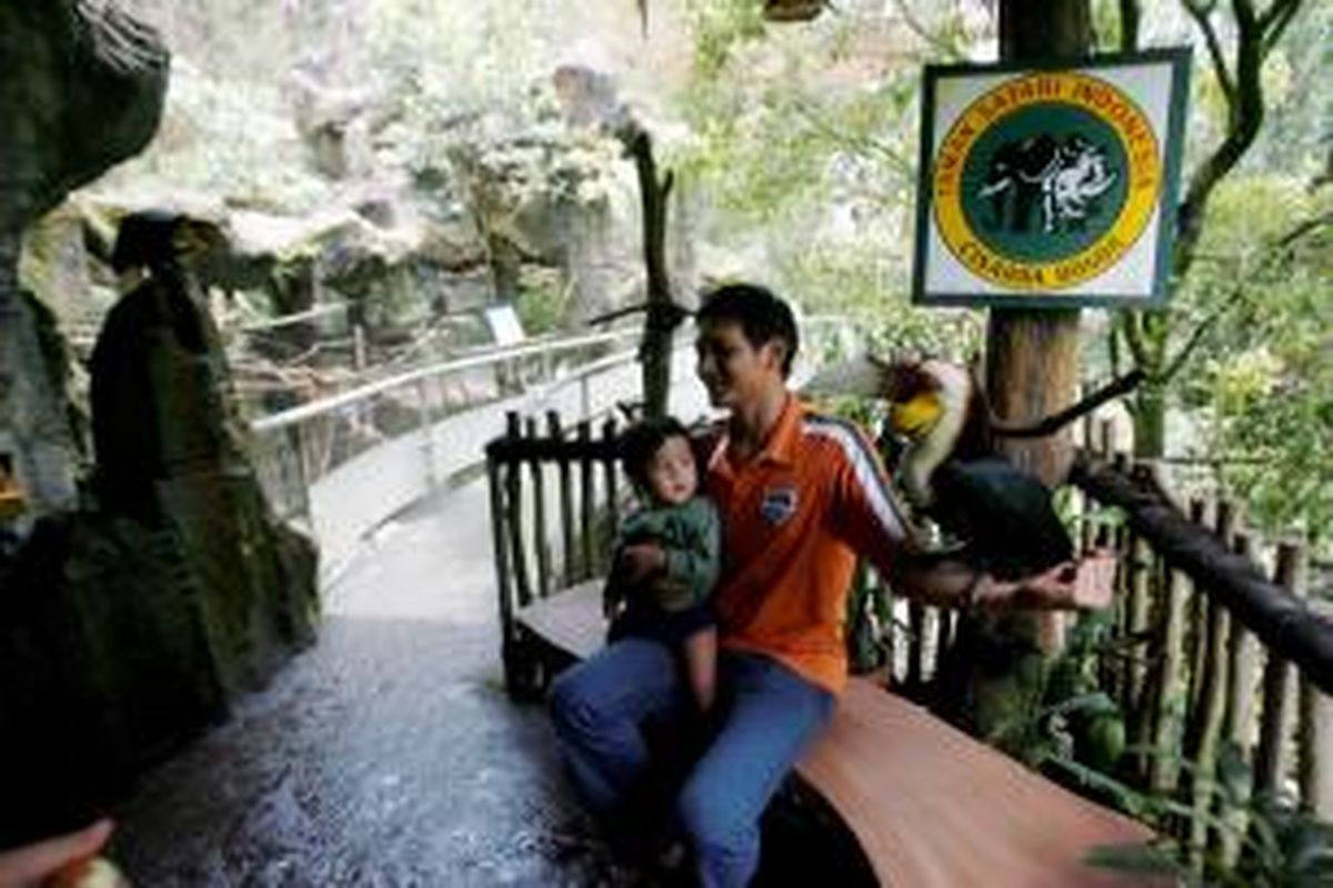 Pengunjung berfoto dengan burung julang emas (Aceros undulatus) koleksi Taman Safari Indonesia, Bogor, Jawa Barat, Minggu (26/9/2010). Burung keluarga hornbil yang tersebar di India, Vietnam, dan Indonesia ini terancam punah karena perburuan paruhnya dan habitatnya terganggu. 