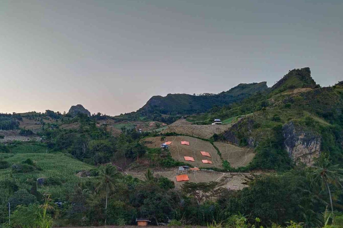 Pemandangan lahan kebun bawang merah, daun bawang dan kol di perkampungan kabupaten Enrekang. 