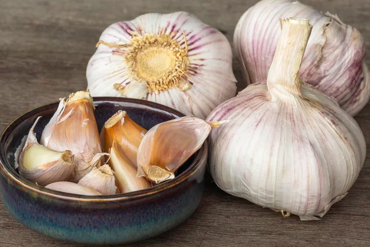 Bawang Putih Bertunas: Berbahaya atau Lebih Sehat? Fakta Terbaru