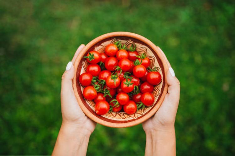 Ilustrasi manfaat tomat ceri untuk kesehatan.